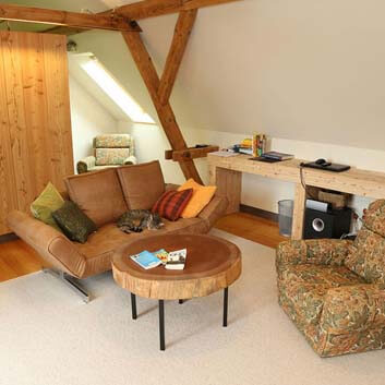 Cozy living area with natural wood sideboard, a tall natural wood cabinet, a slab wood coffee table, and two sofas.